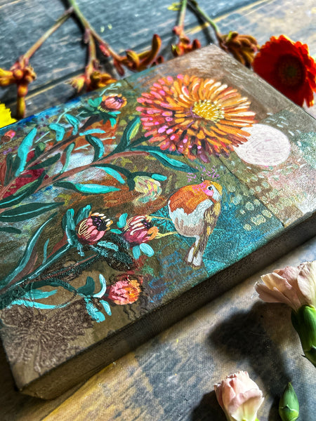 Shining Star - September Birth Flower (Aster)