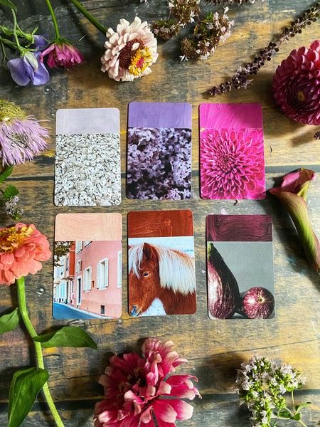 True Colors - Artist Paint-Mixing Flash Cards