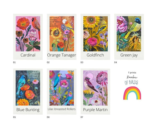 The Rainbow of Birds - 7 Print Collection