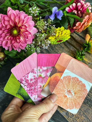 True Colors - Artist Flash Cards