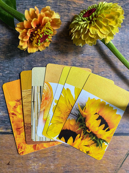 True Colors - Artist Flash Cards