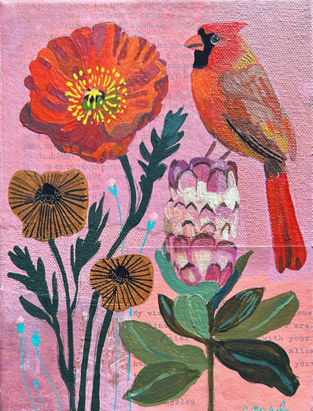 The Rainbow of Birds - 7 Print Collection