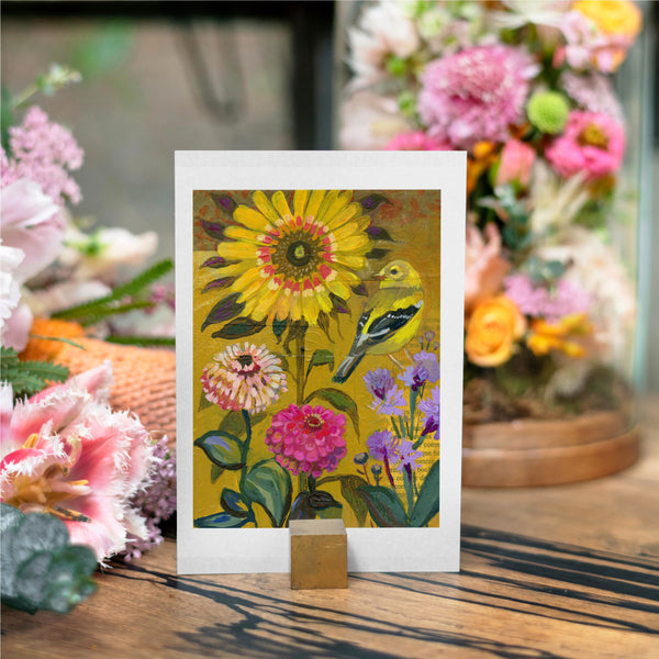 Rainbow of Birds Notecard Collection - 7 Card Bundle