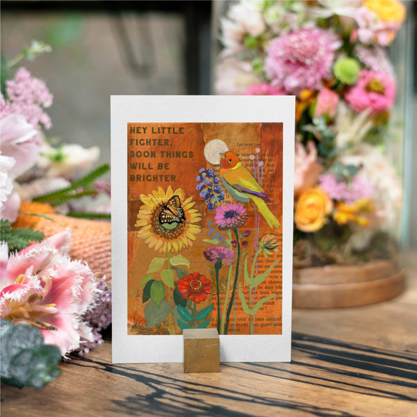 Rainbow of Birds Notecard Collection - 7 Card Bundle