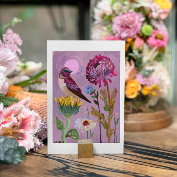 Rainbow of Birds Notecard Collection - 7 Card Bundle