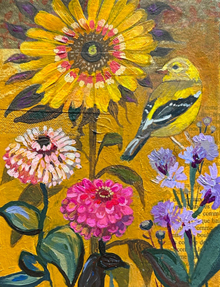 The Rainbow of Birds - 7 Print Collection