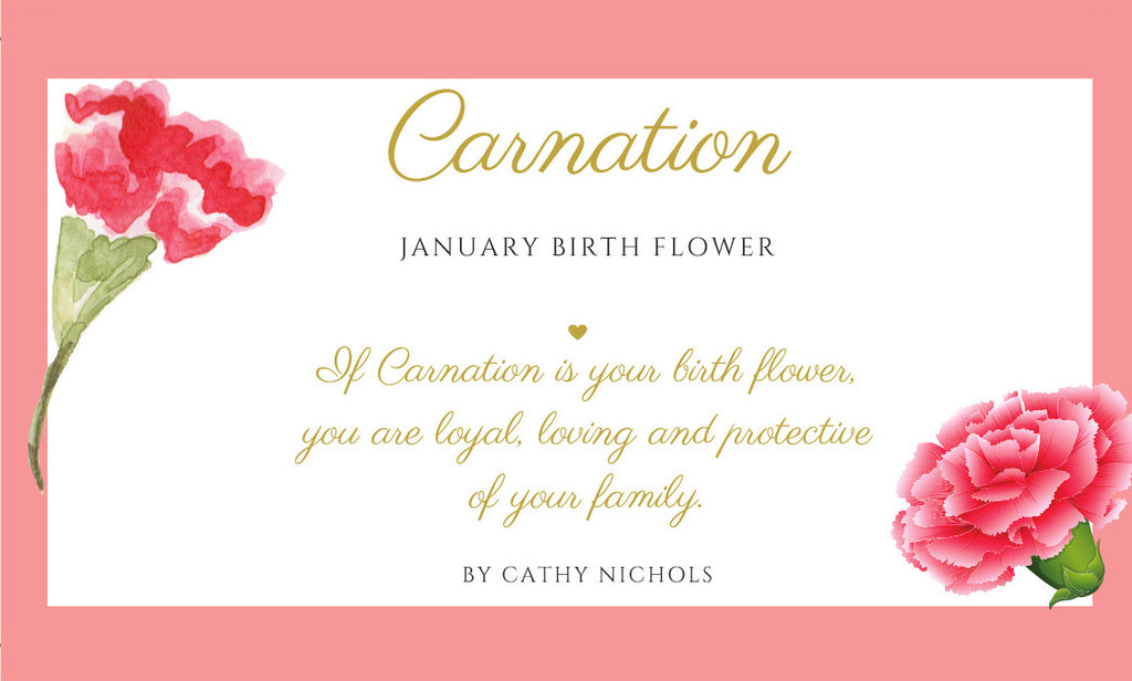 January Birth Flower Print - Carnation – Cathy Nichols
