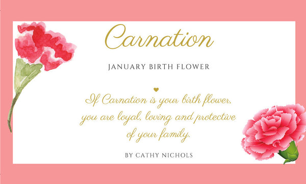 January Birth Flower Print - Carnation